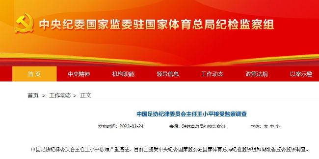 精品久久久中文字幕二区
