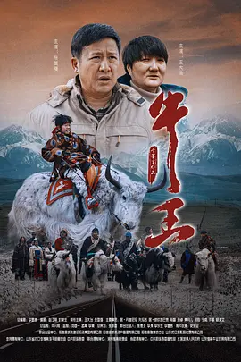 的视频,vk