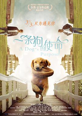 国产精品三级电影在线观看