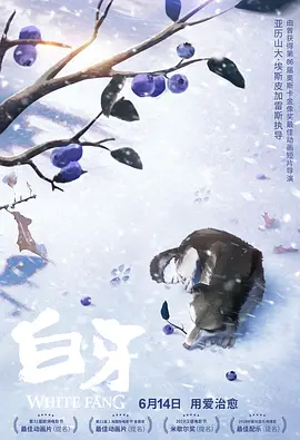 手机看片9