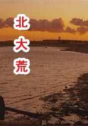 午夜国产羞羞视频免费网站